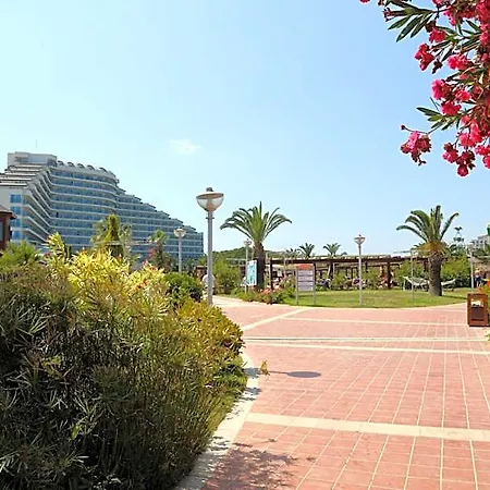 Venosa & Didim
